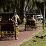 experiencia_estorias_e_flores_creditos_divulgacao_5