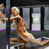 exposicao human bodies