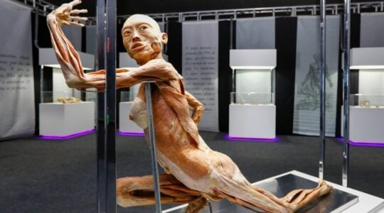 exposicao human bodies
