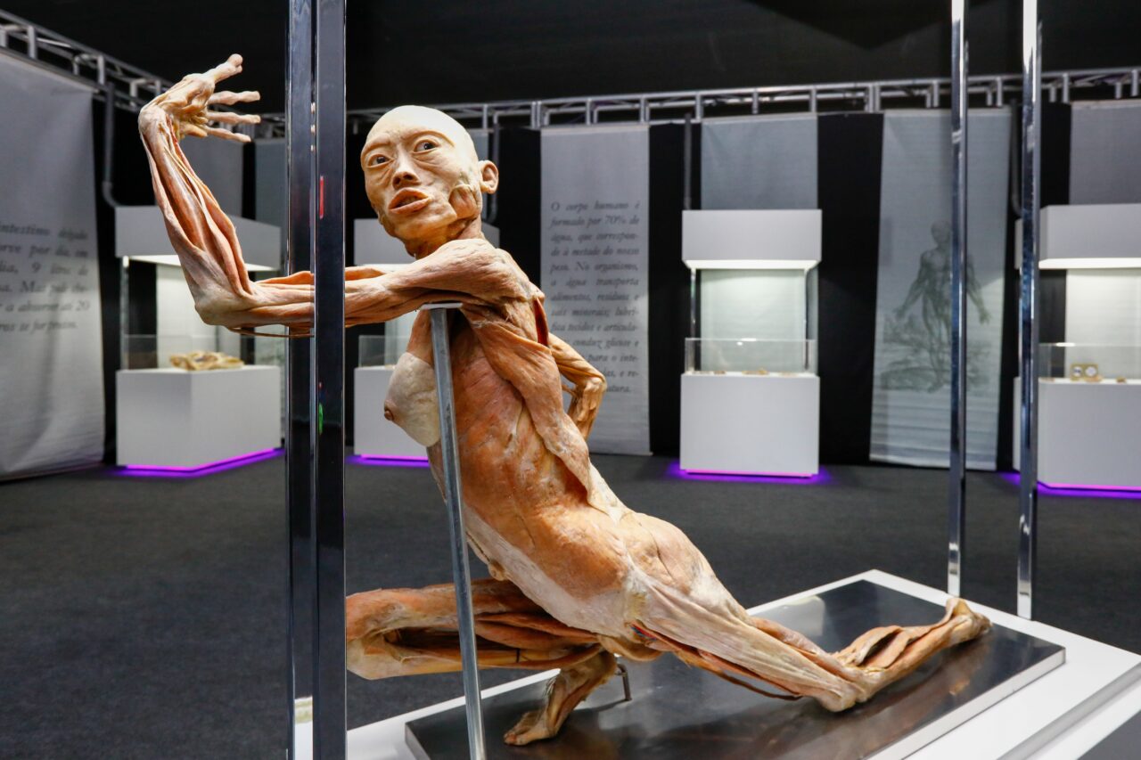 exposicao human bodies