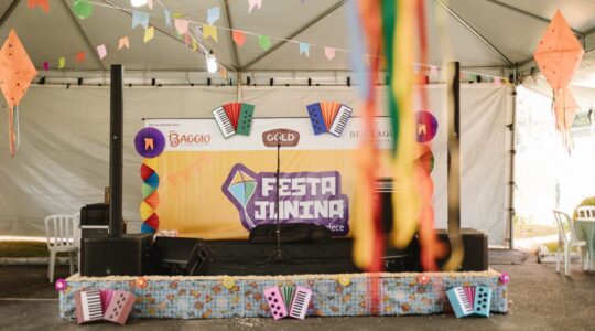 festa julina afece