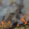 incendio