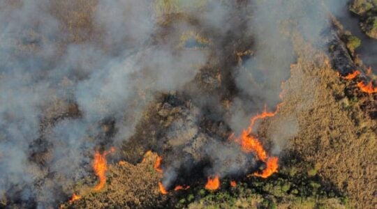 incendio