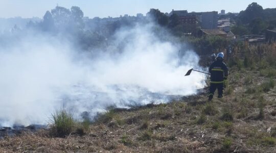 incendio em vegetacao