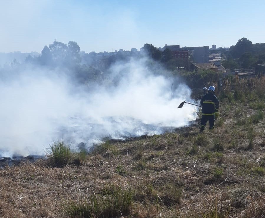 incendio em vegetacao