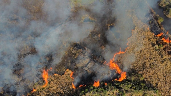 incendio