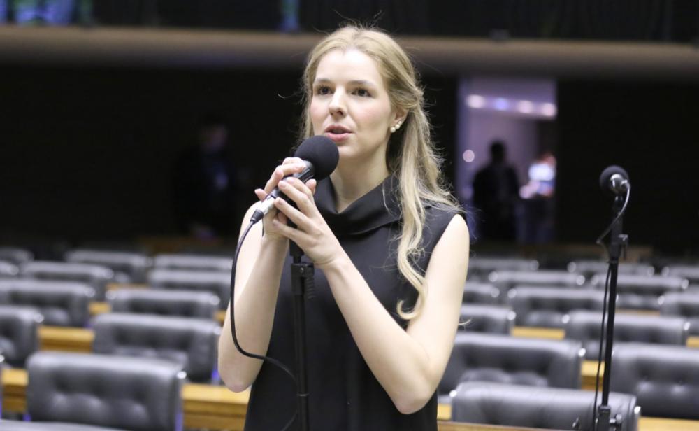 luísa canziani comissão IA da Câmara foto Bruno Spada