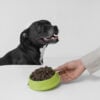 mao-de-vista-lateral-segurando-uma-tigela-de-comida-de-cachorro