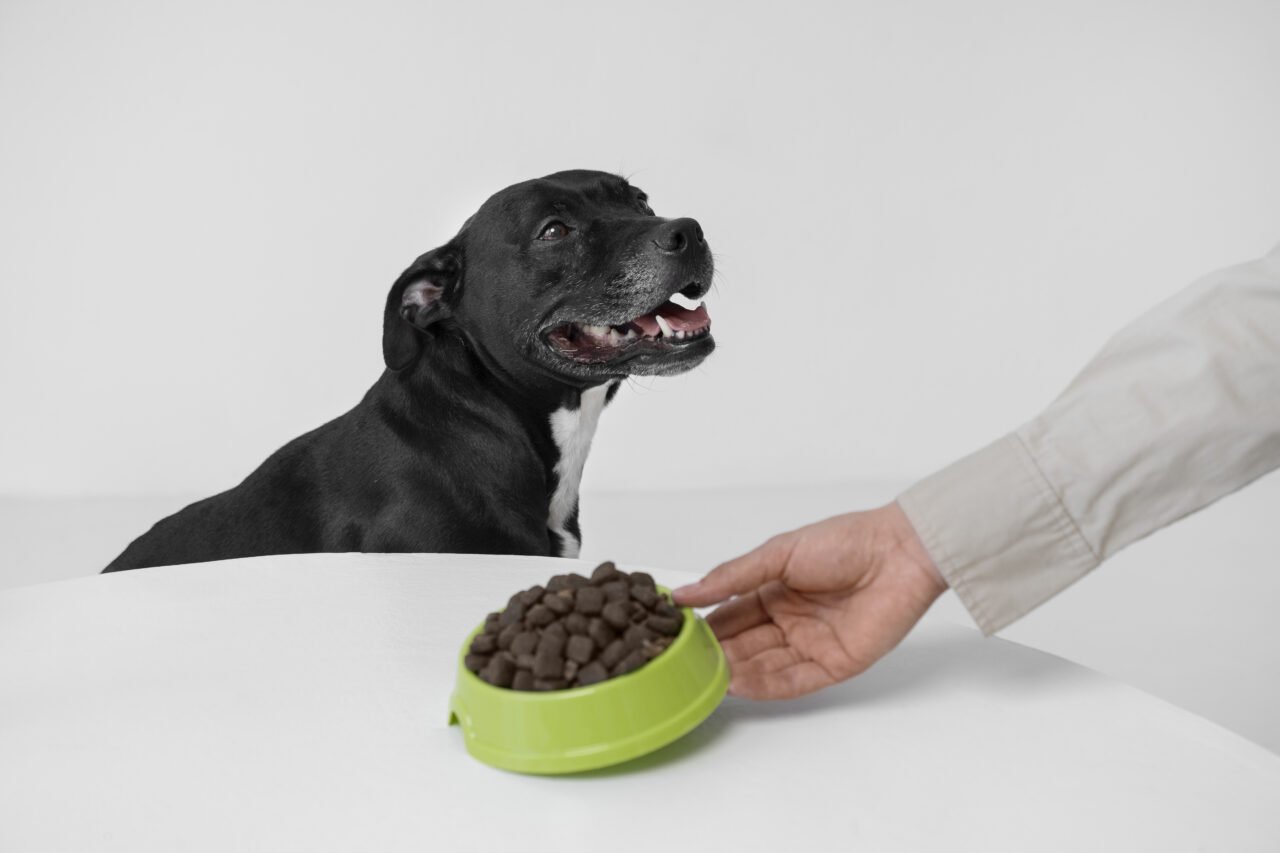 mao-de-vista-lateral-segurando-uma-tigela-de-comida-de-cachorro