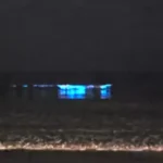 mar neon