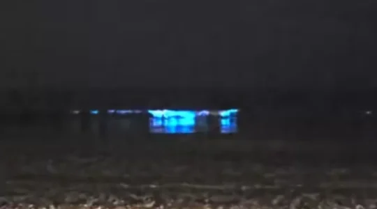 mar neon