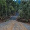 paralelepipedos pedras irregulares