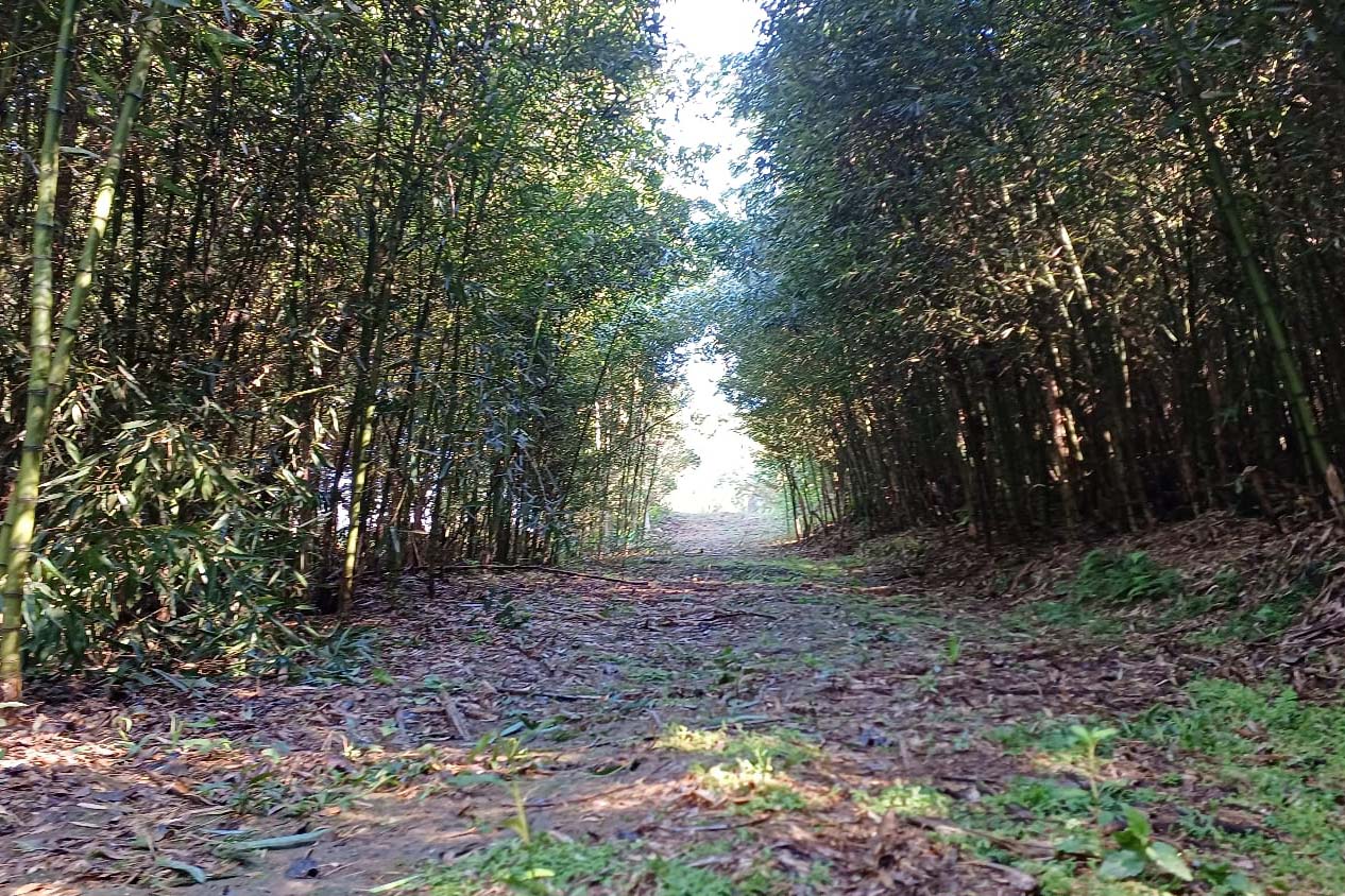 roteiro roca velha sjp