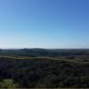 sitio leilao