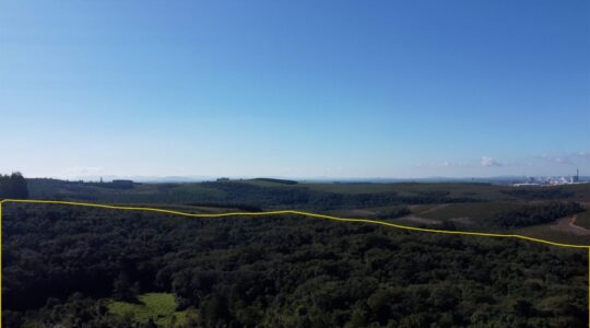 sitio leilao
