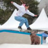Skate
