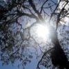 sol em curitiba