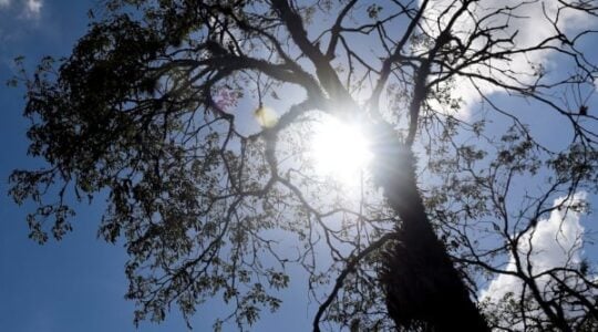 sol em curitiba