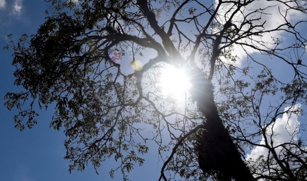 sol em curitiba