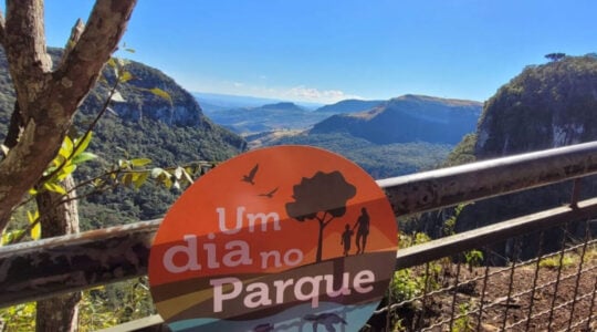 um_dia_no_parque
