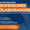 unicentro professores