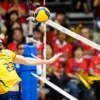 volei brasil