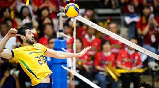 volei brasil