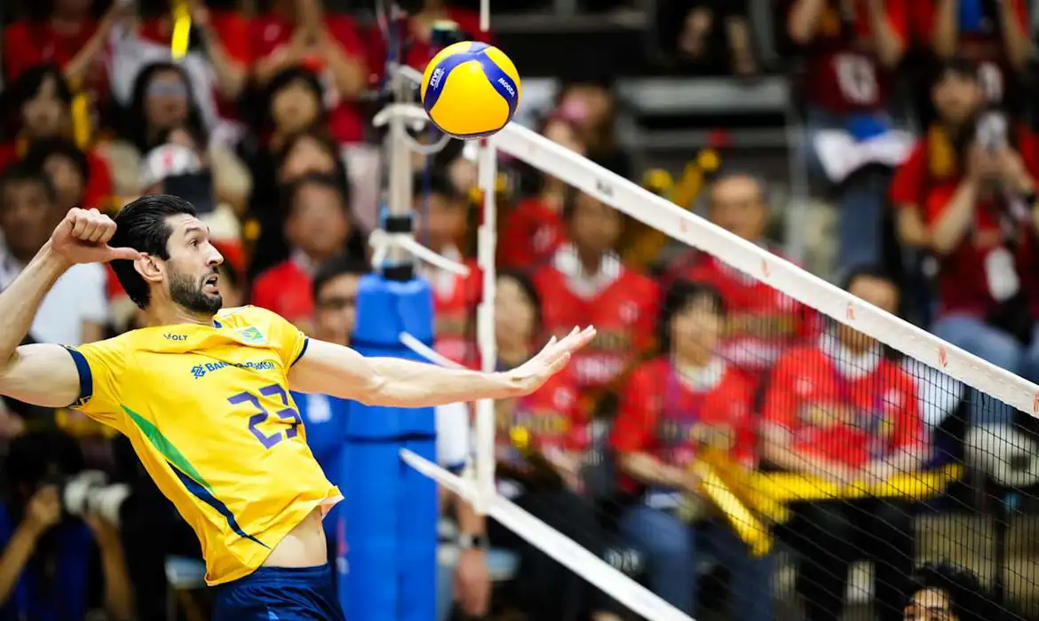 volei brasil