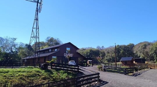 CELEIRO CAPA