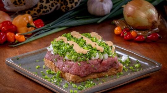 Carne de onça – foto Gean Cavalheiro (2)