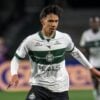 Novorizontino x Coritiba: João Almeida, provável titular da lateral