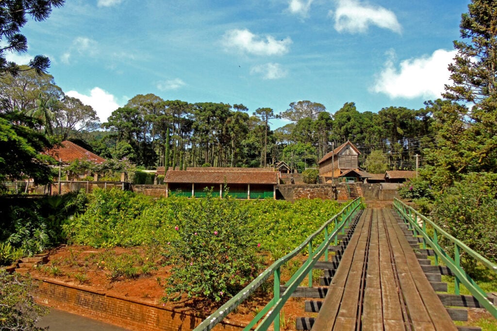 Fazenda Monte Belo (1)