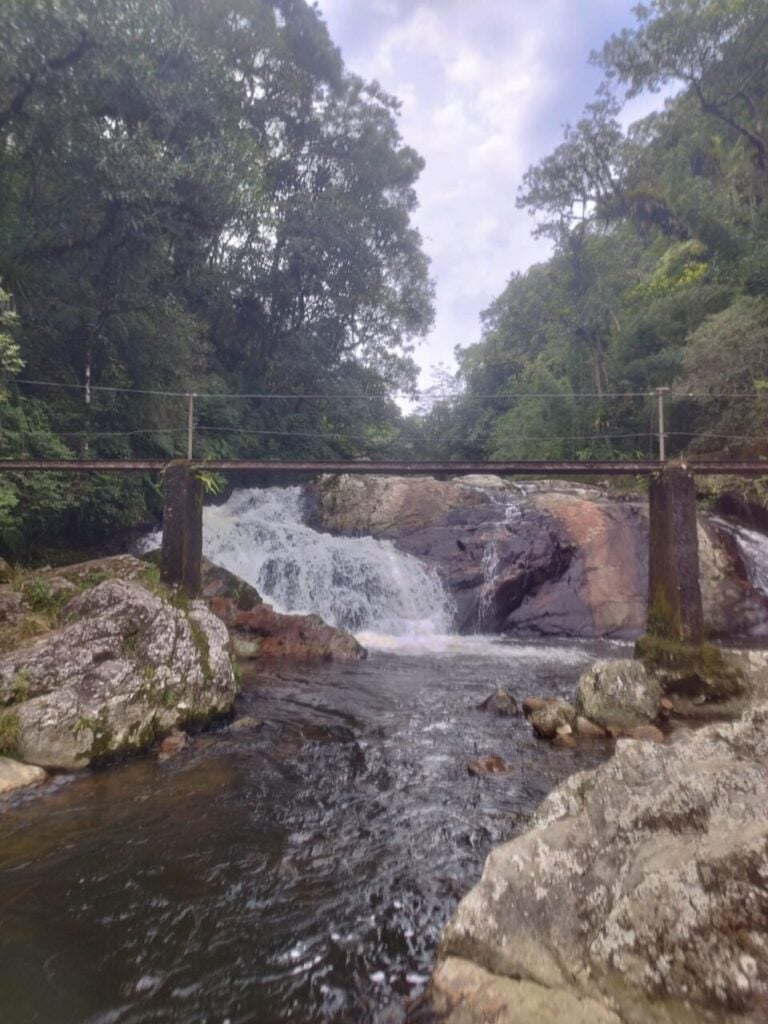 Foto12