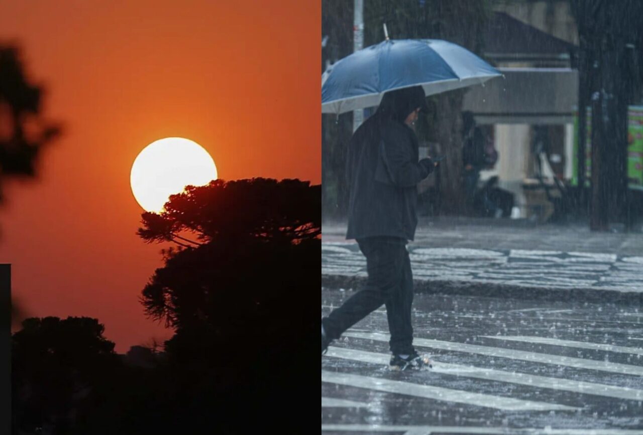 MONTAGEM PARA SITE