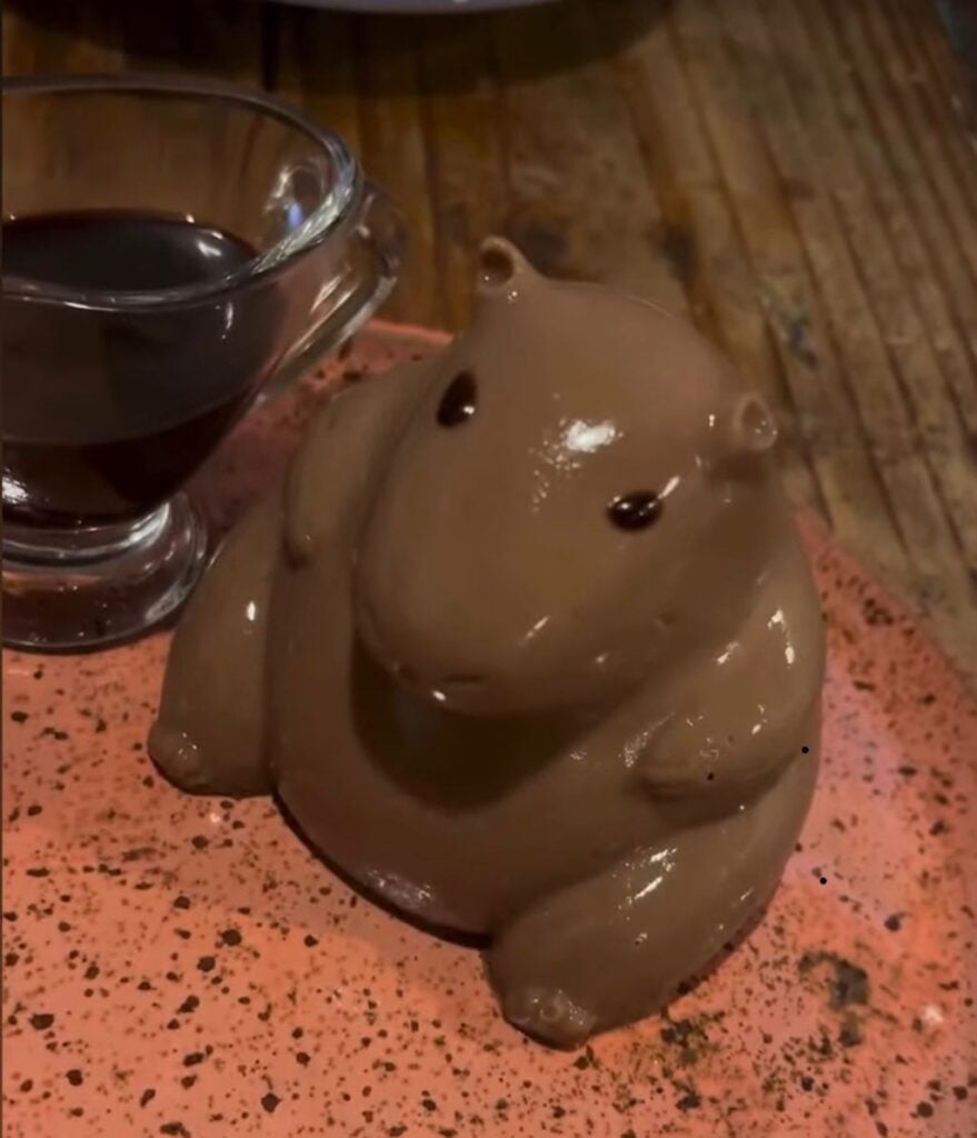 Panacota Capivara
