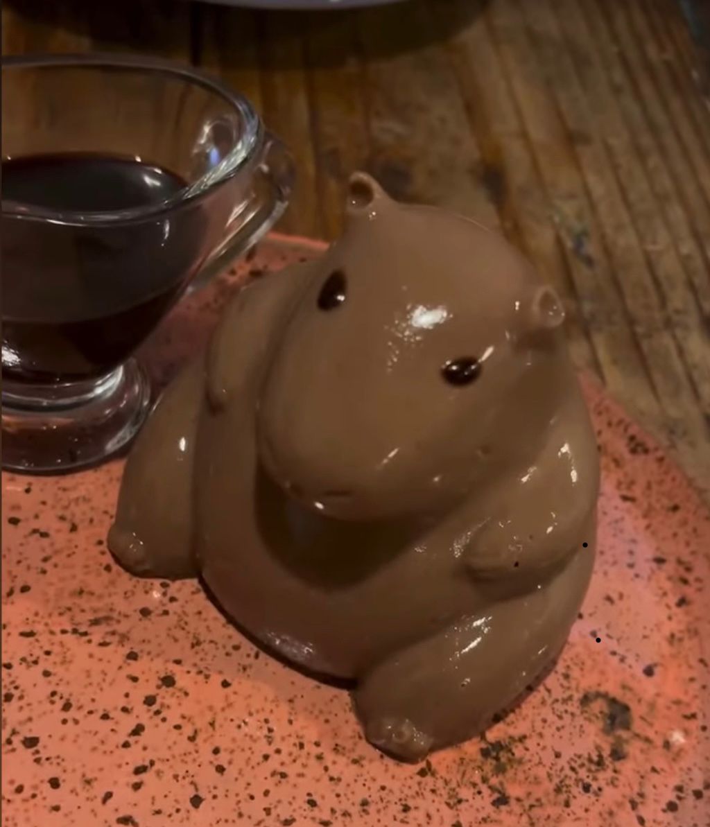 Panacota Capivara