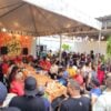 Swamp – Samba do Sapo 2 – foto Luiz Sergio da Silva Aguiar divulgacao