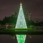 arvore natal