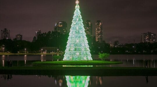 arvore natal