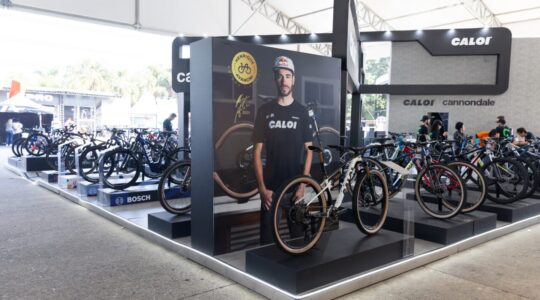 caloi shimano fest