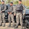 PM PR deve dar medalhas para cães