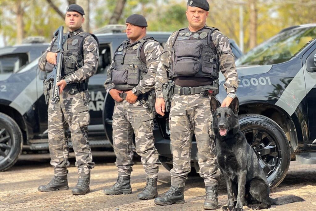 PM PR deve dar medalhas para cães