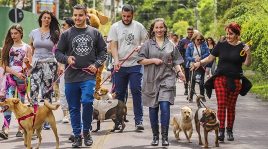 cãominhada