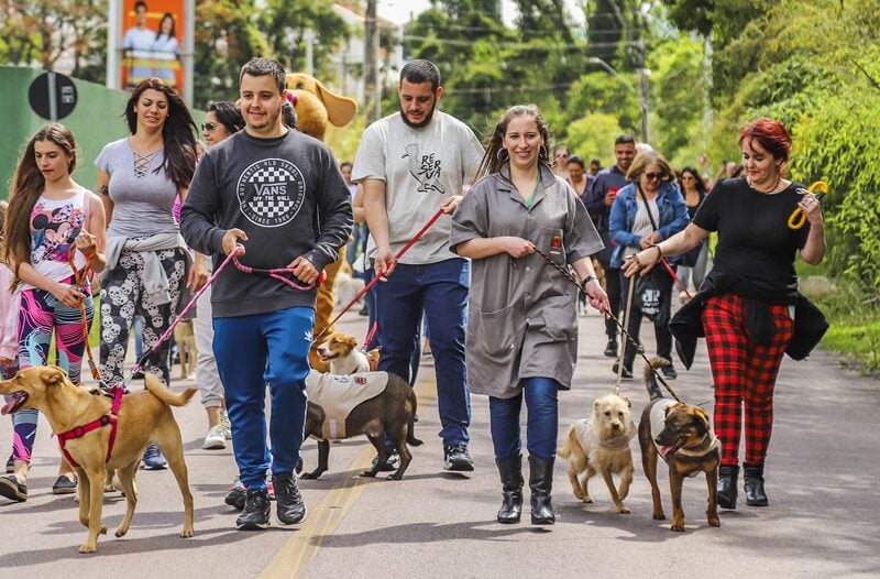 cãominhada