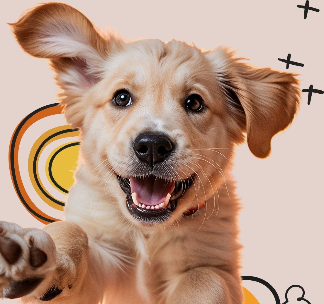 dia do cachorro palladium