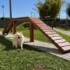 epsaco pet jockey plaza