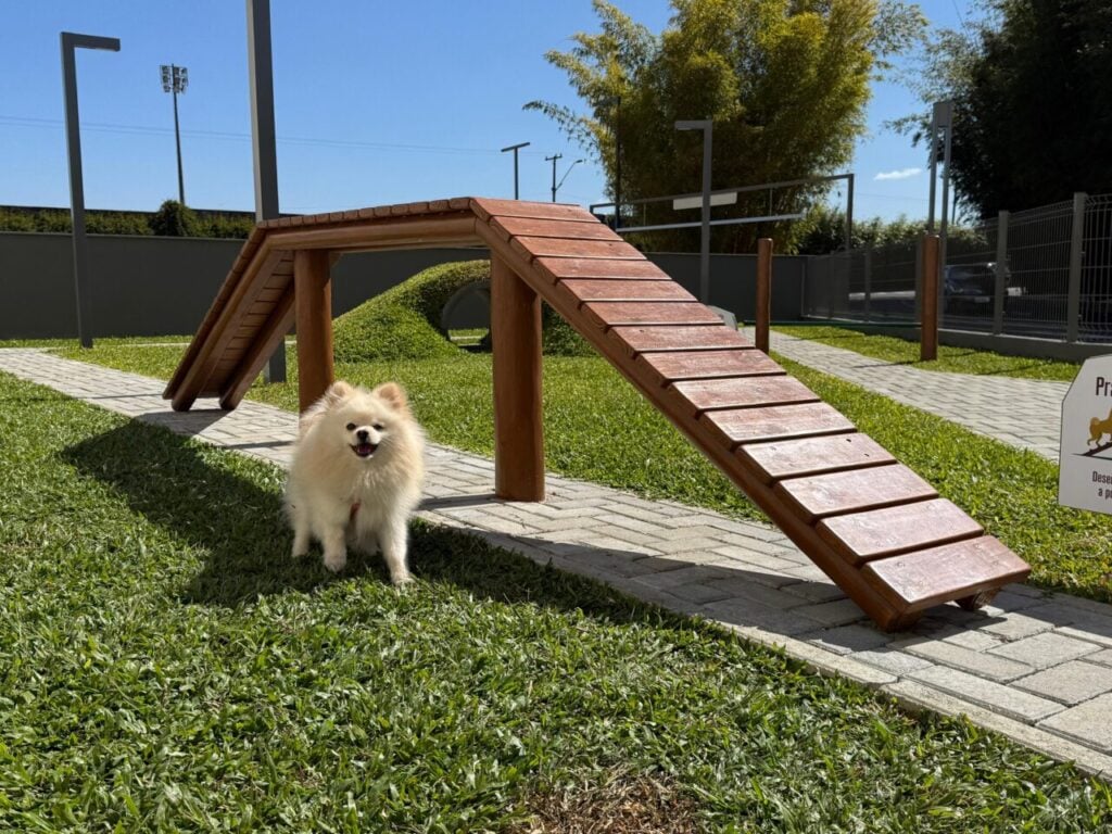 epsaco pet jockey plaza