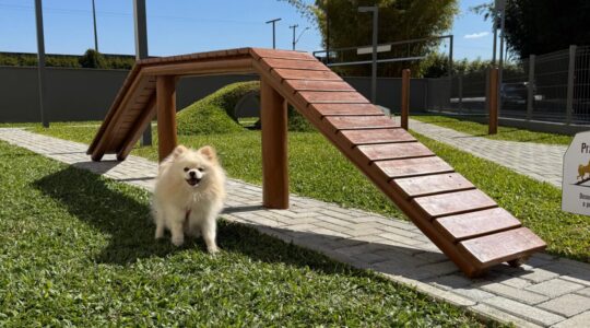 epsaco pet jockey plaza