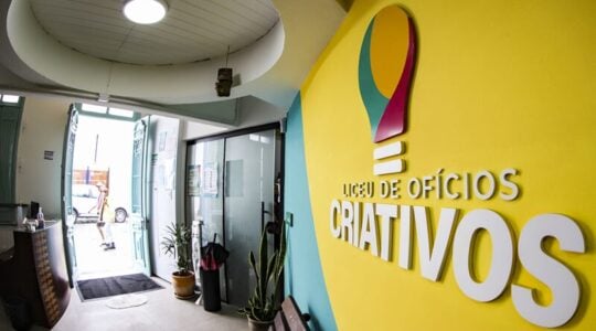 liceu carteira de artesao