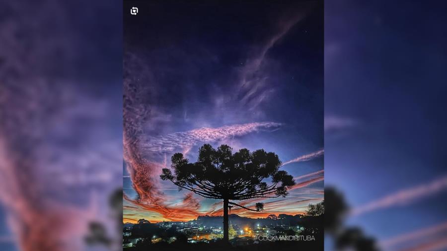 mandirituba em foto